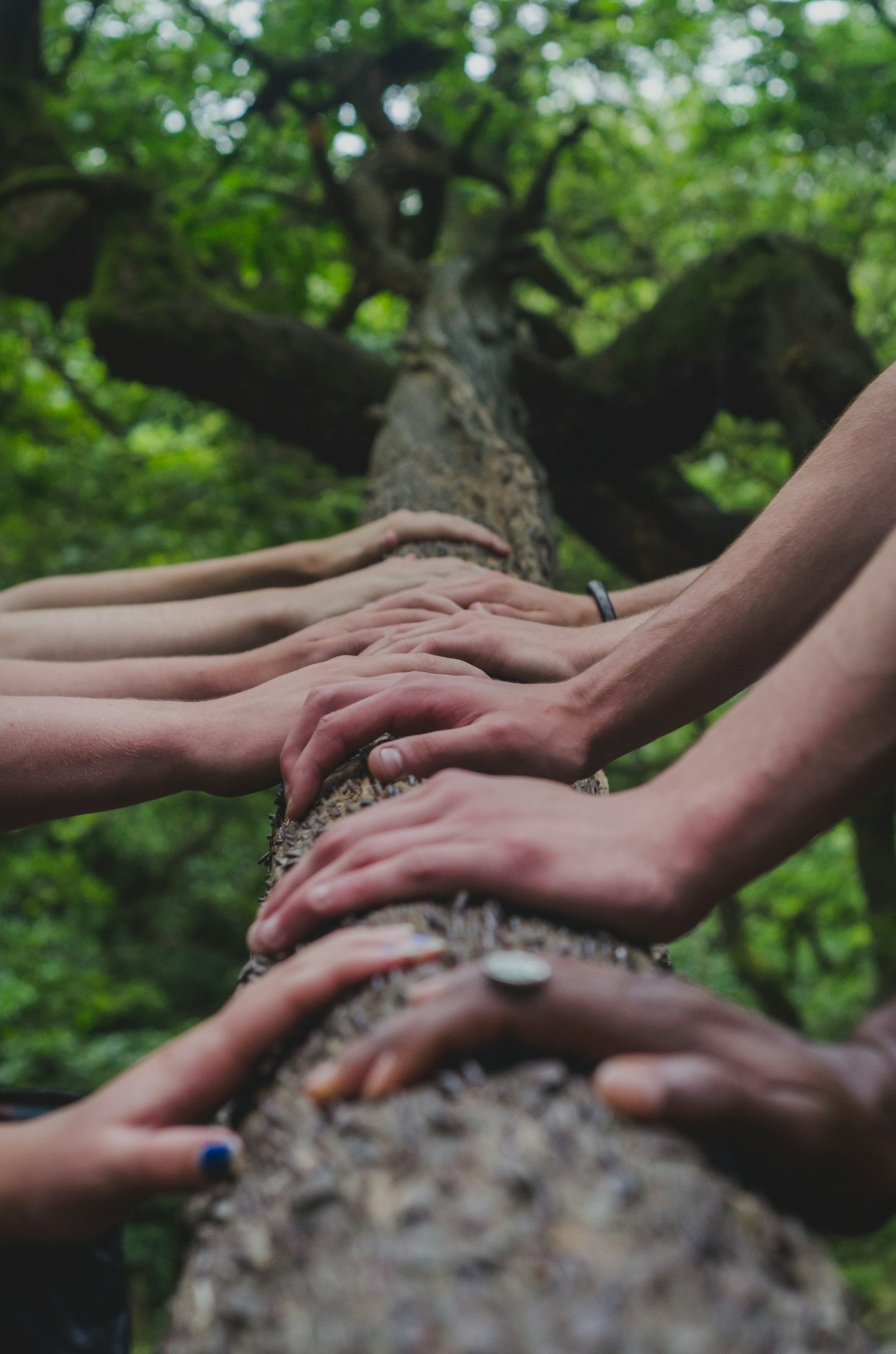 Five Success Stories from Reform West Lancashire